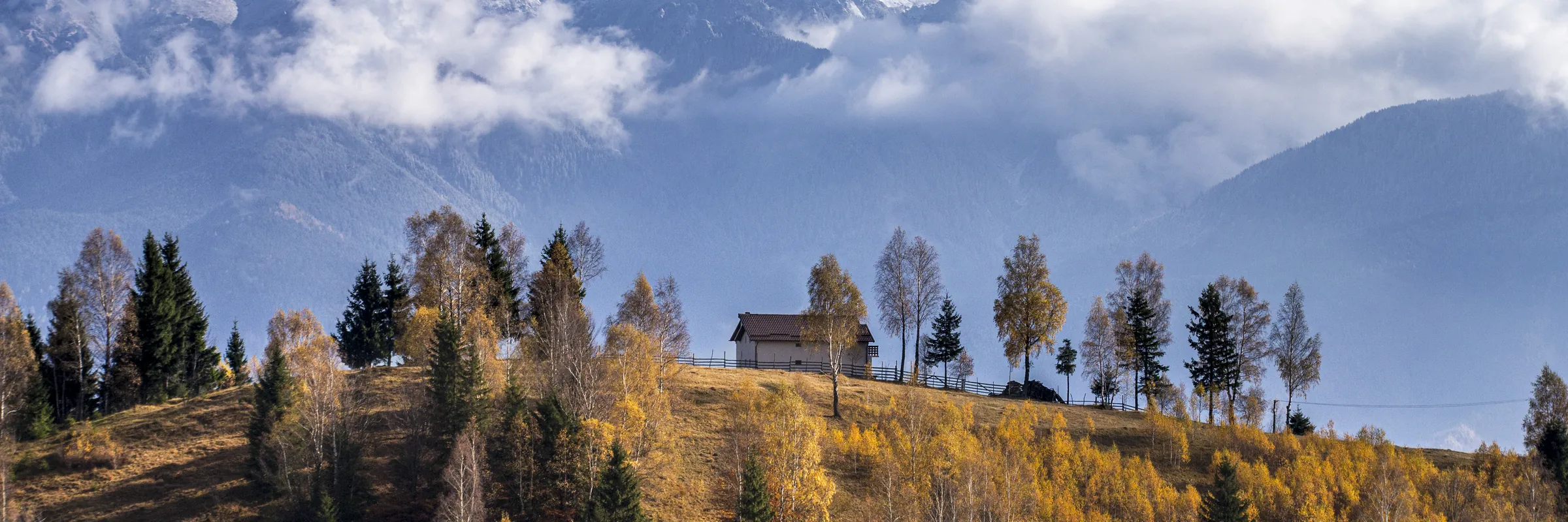 Panoramă de toamnă: deal cu căsuță și mesteceni, munți înzăpeziți în fundal